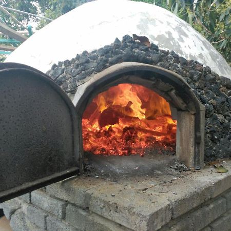 Finca Los Aguacates Trapiche  エクステリア 写真